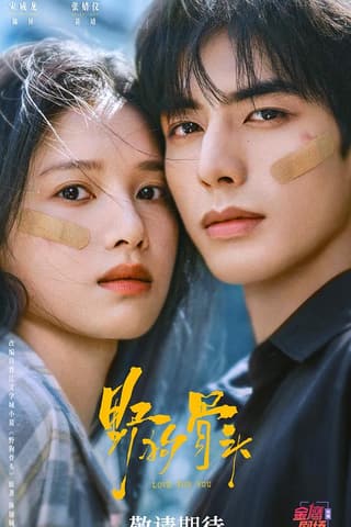 《野狗骨头》海报
