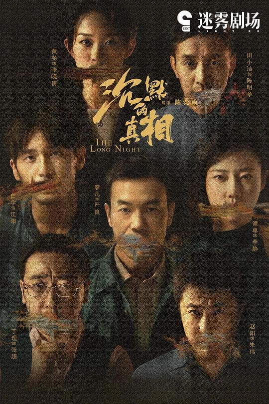 《沉默的真相》海报